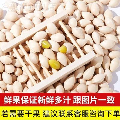 特级白果新鲜大果2024年银杏果非干货1kg生白果送食谱带壳白果