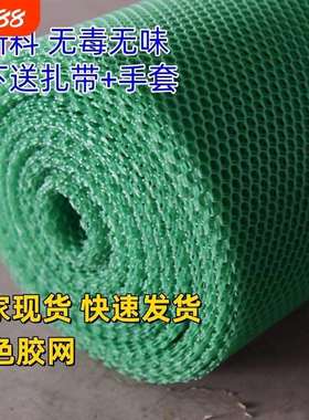 鸡鸭鹅小孔家用塑料围栏网格加厚防护绿色垫户外育雏网床养殖漏粪