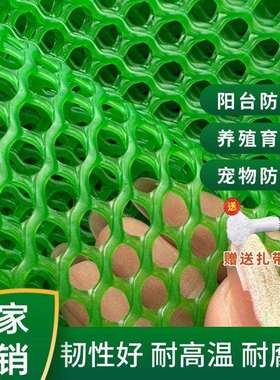 加厚绿色塑料平网养殖漏粪网床鸡鸭鹅脚垫网格片蜂网防护网育雏网
