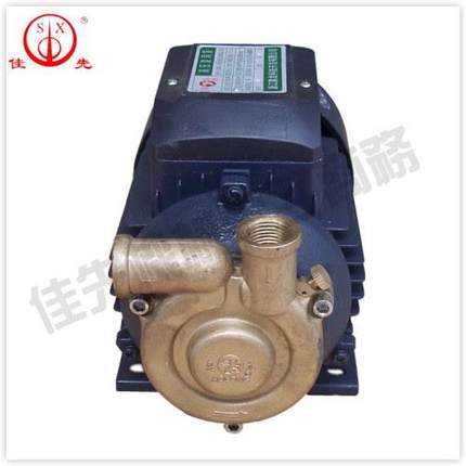 烧燃煤锅炉配件高压锅炉发生器水泵单相220V 500W