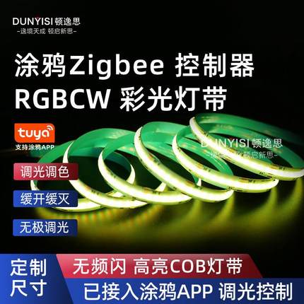 定制涂鸦zigbee灯带自粘RGBCW灯带一体智能电源七彩变色控制器