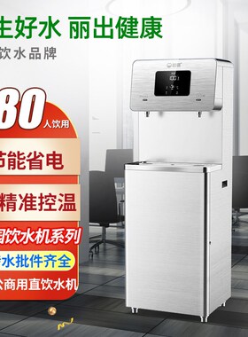 碧丽WDO大型工厂办公室学校直饮水全自动净化一体烧水器