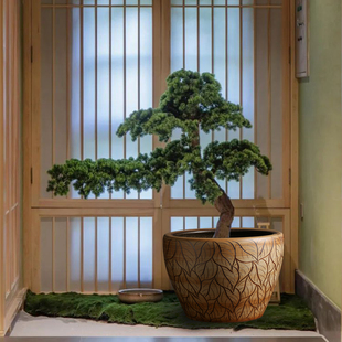 陶瓷大缸养荷花睡莲缸特大号室外庭院大水缸阳台客厅种铁树花盆缸