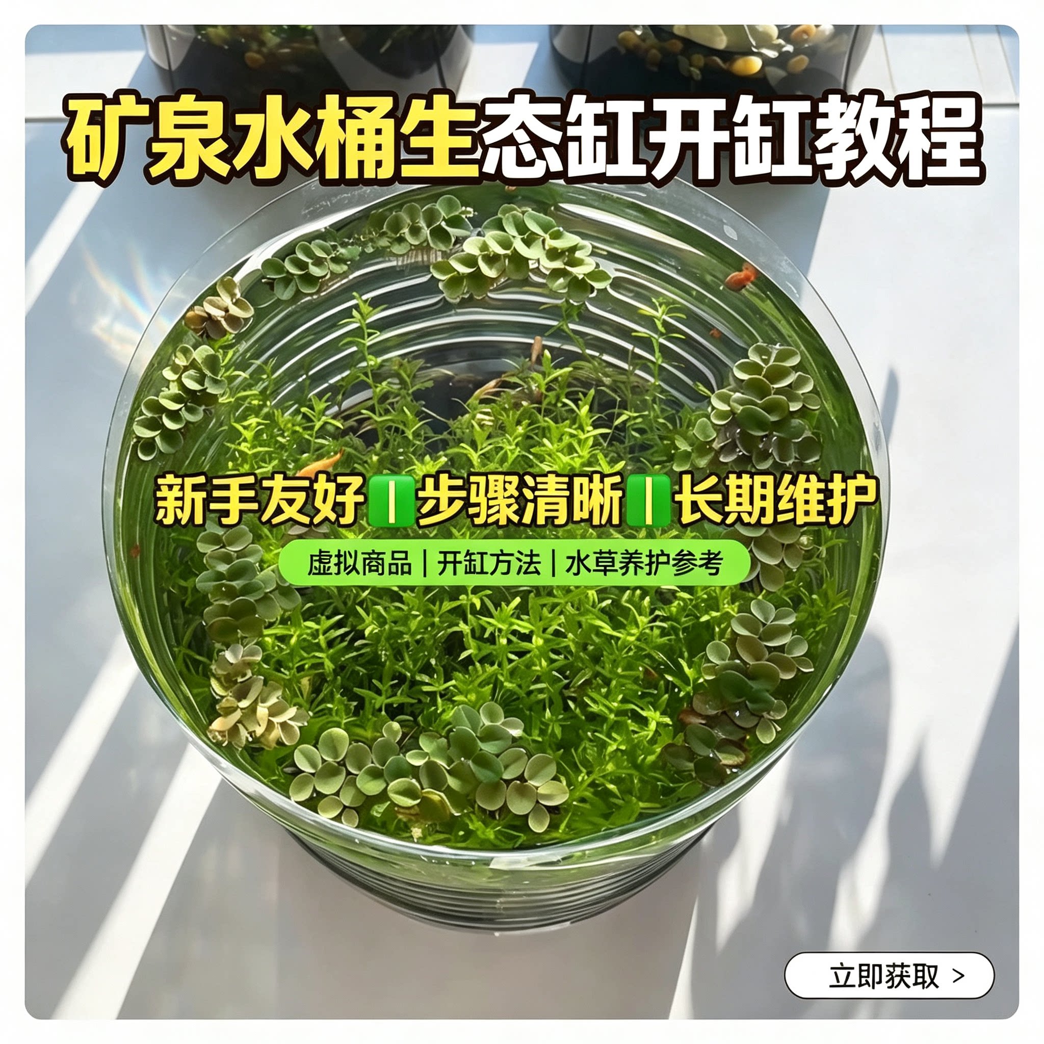 矿泉水桶生态缸开缸教程新手水草造景养虾长期维护方法