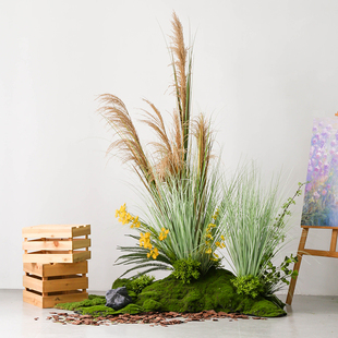 网红仿真芦苇草丛造景室内露营风干芦苇仿生绿植景观橱窗装饰摆件