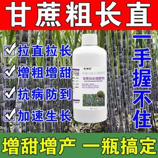 甘蔗拉长增甜剂膨大素甘蔗专用药增长粗拔节920甘蔗专用肥壮丰素
