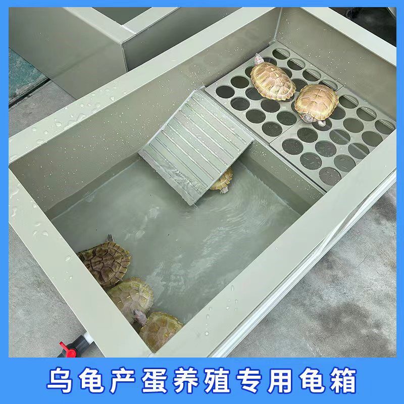 PP塑料龟箱别墅带生蛋池乌龟箱龟池阳台龟缸乌龟养殖箱水陆龟箱