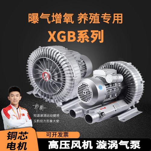 XGB漩涡风机增氧旋涡式气泵罗茨涡轮380V大功率强力吸工业鼓风机