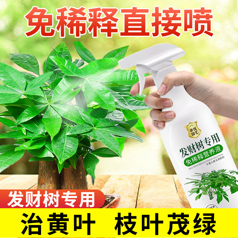 发财树专用营养液免稀释黄叶枯叶烂根肥料专用肥盆栽室内叶面肥