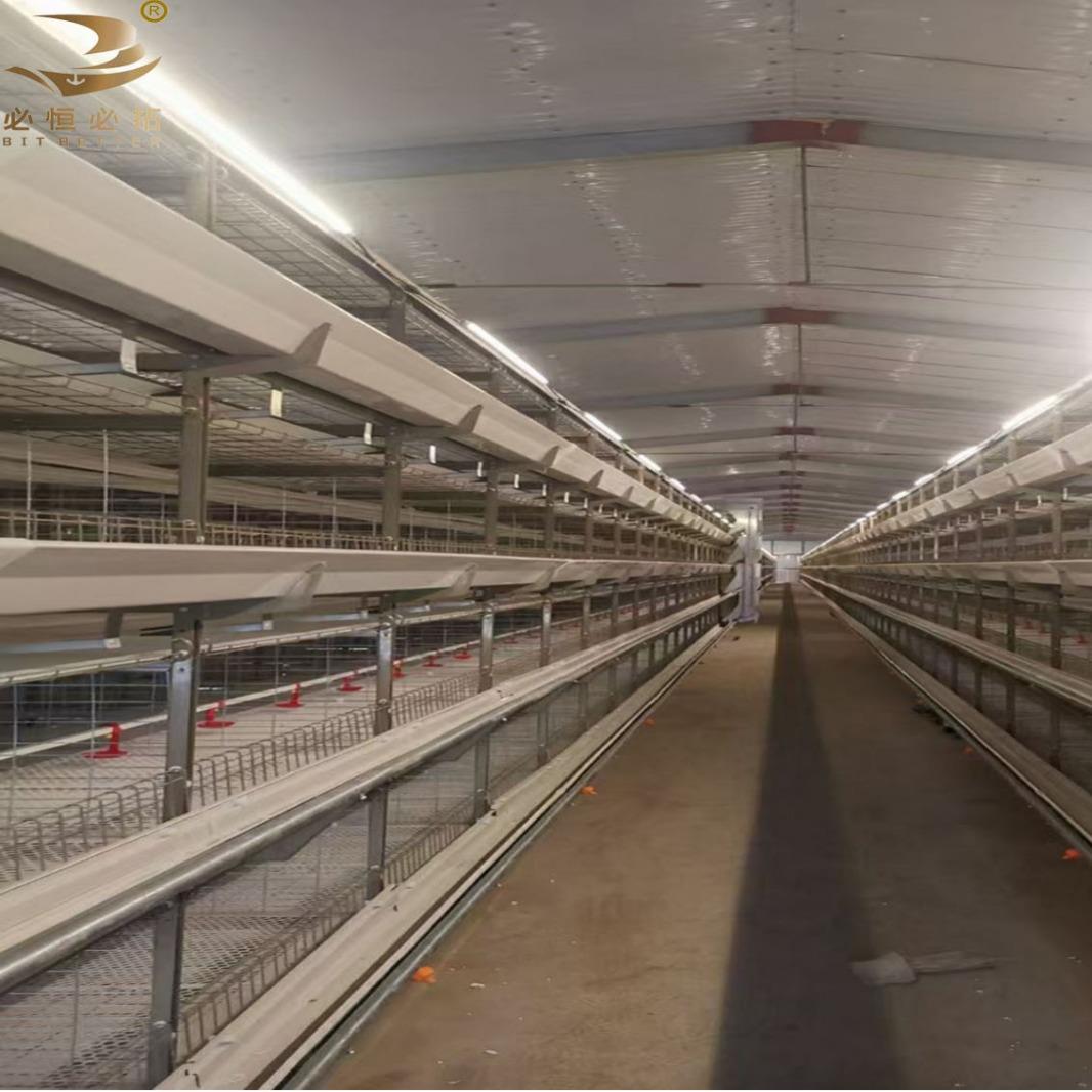 厂家供应全自动喂料自动化鸡舍肉鸡笼雏鸡养殖设备鸡笼喂料框架