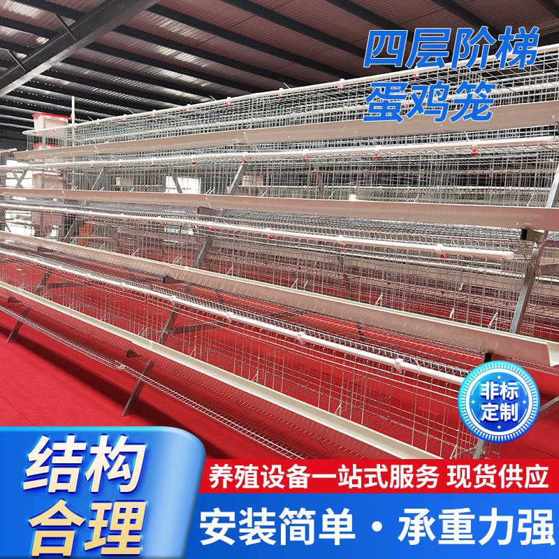 四层阶梯蛋鸡笼热镀锌养殖笼层叠式养鸡场梯形蛋鸡笼鸡鸭养殖笼