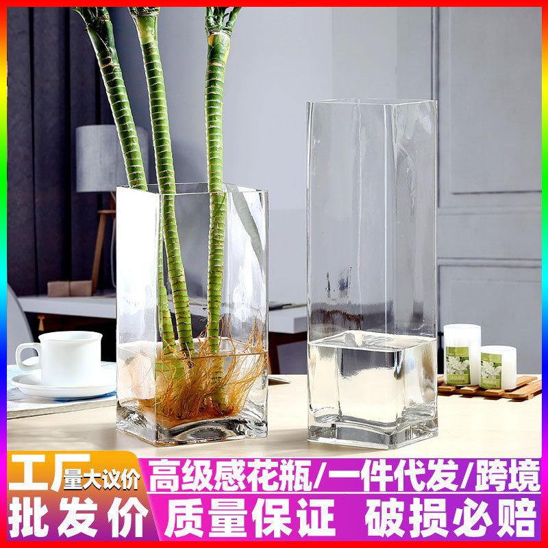 高款方形玻璃花瓶透明方缸水培富贵竹插百合花微景观客厅装饰摆件