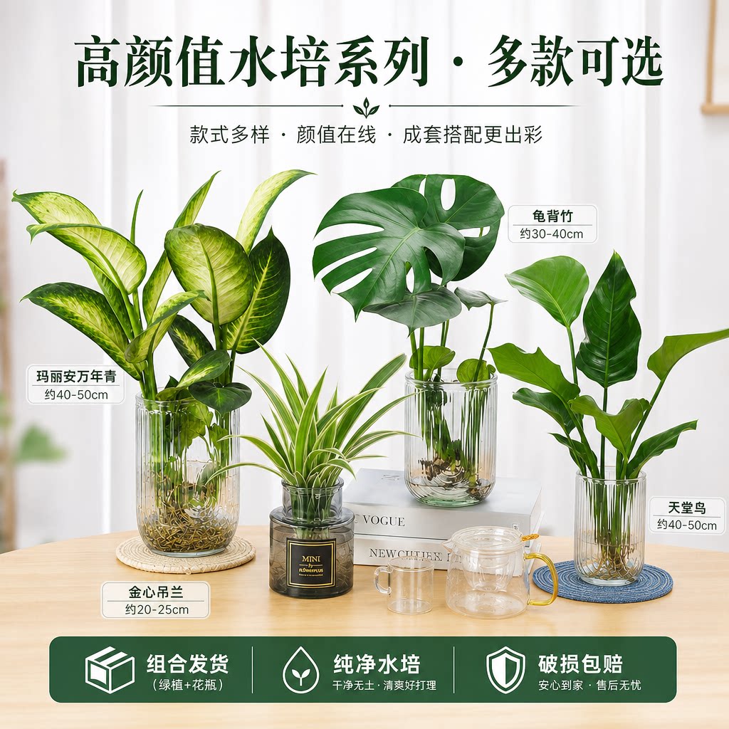 【热卖10w+】精品桌面水培系列