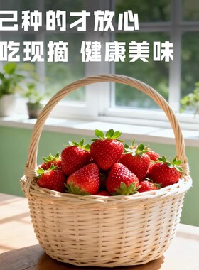 草莓盆栽白色粉色红色带花带果阳台种植好养易活阳台室内种植挂果