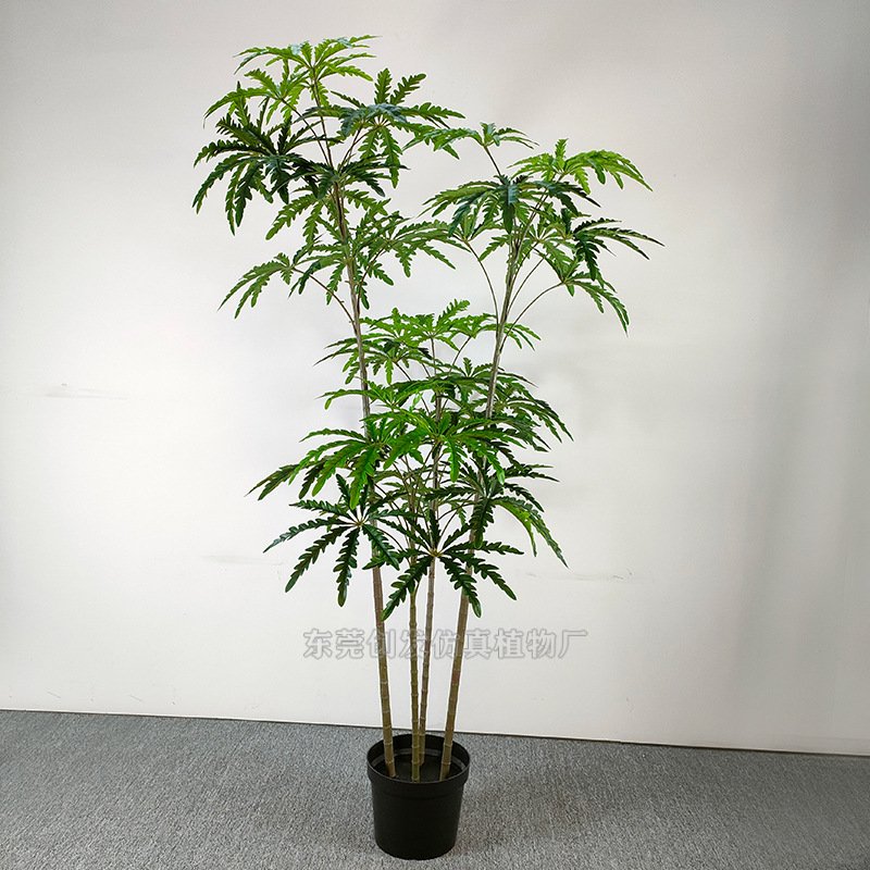 厂家直供 仿真绿植孔雀木 过胶手感叶子孔雀枝 室内装饰观叶盆栽