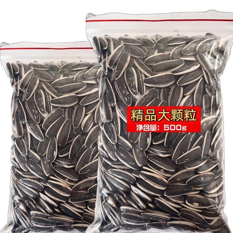 新货内蒙新鲜炒熟原味大颗