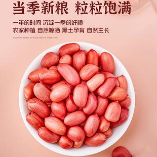 东北红皮花生新货非带壳生花生仁豆米新鲜农家原味小下酒