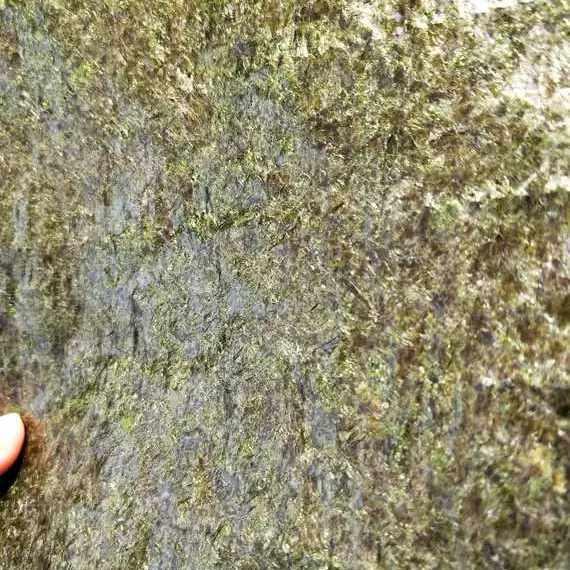 过路人台湾饭团米棒肯德饭团寿司专用烤海苔紫菜50张海苔对切