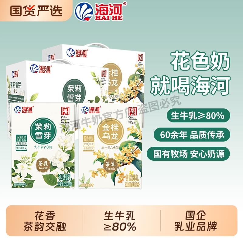 新货牛奶茉莉雪芽金桂乌龙