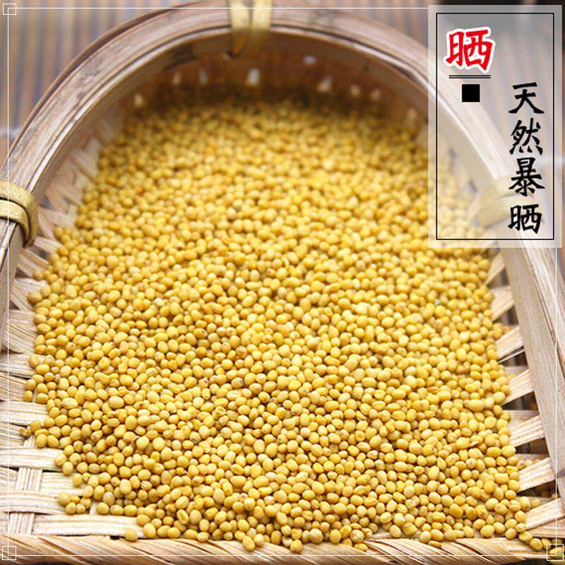 新日期现磨黄芥末籽粉500