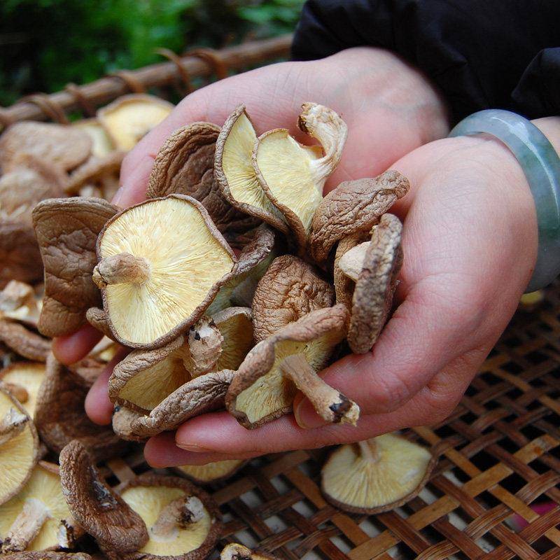 干香菇干 干货500g包邮秒杀农家自产庆元特产香菇香信菇薄菇非小