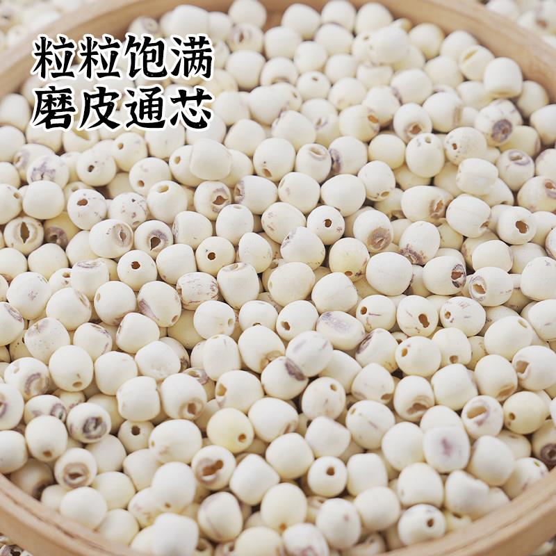 湘野红姐去芯磨皮白莲干货莲子百合煲汤新鲜当季湘莲寸三莲500g