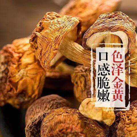 姬松茸500g干货无薰硫 云南特产食用菌菇煲汤食材蘑菇松茸菌