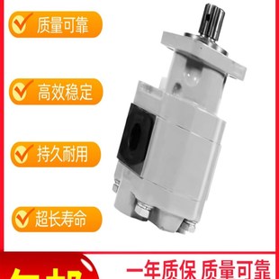 CBGTC2063 BLHL CBGTC2100 BLH齿轮油泵CBGTC2080