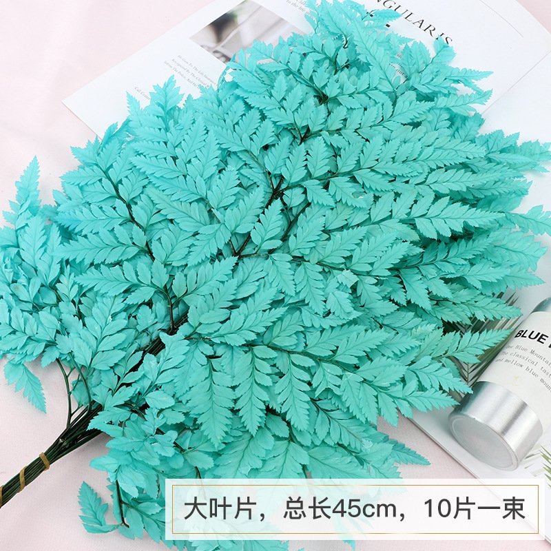 永生高山羊齿厂家供应撅叶类保鲜花材 花材摆拍装饰石松龙须草