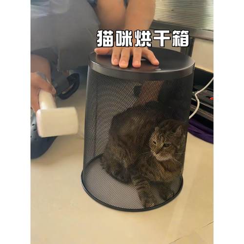 猫咪烘干箱宠物狗狗洗澡专用吹干神器小型犬吹风机吹水烘干垃圾桶