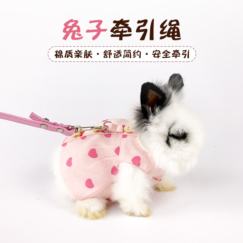 宠物兔子衣服牵引绳兔兔豚鼠小型兔幼兔垂耳兔服装饰品外出遛兔绳,宠物/宠物食品及用品,兔绳,淘宝优惠券,粉丝福利购,淘宝优惠卷