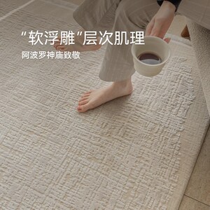 土耳其进口地毯客厅轻奢高级感现代简约风2024新款卧室优立 坦普