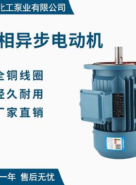 YE3系列7.5KW22kw30kw卧式三相异步电机2极4极电动机全铜线圈