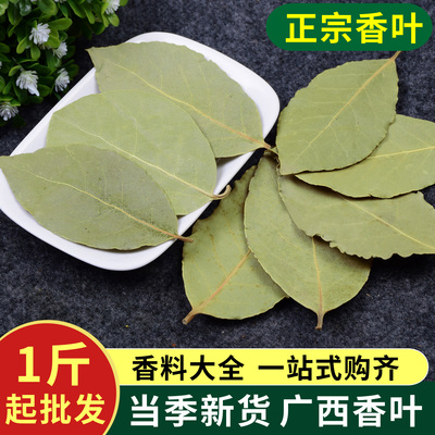 正宗广西精品香叶 500g 卤料火锅香料调味料大全批发八角香叶粉