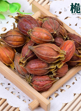 精选新货红桅子 黄果 黄栀子山栀枝子中药材泡花茶卤肉 可磨粉50g