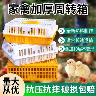 鸡笼周转箱塑料h鸡笼运输笼子成鸡鸭周转笼家禽周转箱鸽兔用养殖