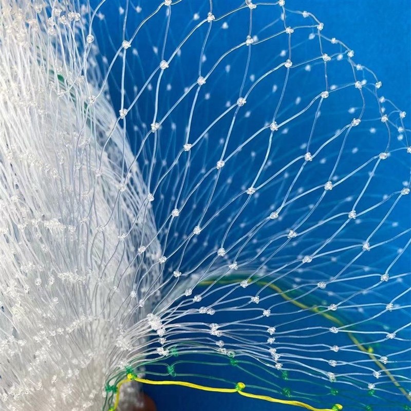 防鸟丝网防鸟网果园葡萄大棚保护网家用果树网防鸟用的网鱼塘养殖