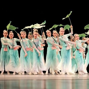 小荷叶舞蹈服荷叶翩翩莲叶翩翩演出服古典舞如梦令表演服荷花道具