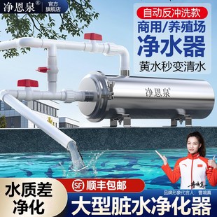 养殖净化器鱼池脏水前置反w冲洗过滤器自来水井水大流量净水器