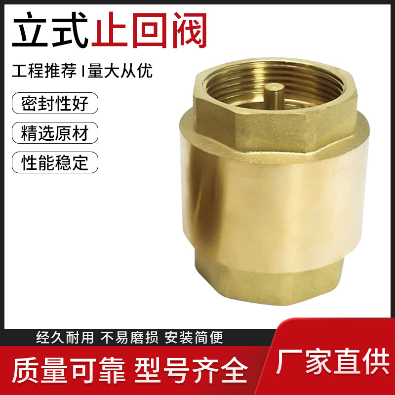 黄铜立式止回阀弹簧式单向阀水管螺纹阀门水阀止逆阀4分6分1寸15