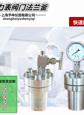 高温高压反应釜/法兰式/压力表高压釜/泄压阀/螺栓螺丝密封反应釜