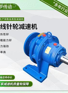 XIRB2/180/XO立摆式摆线针减速机配件B/X列BLD系/XLD线针轮减轮速