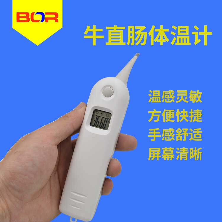 奶牛体温计 兽用温度计 猪牛羊体温测量 一键测量