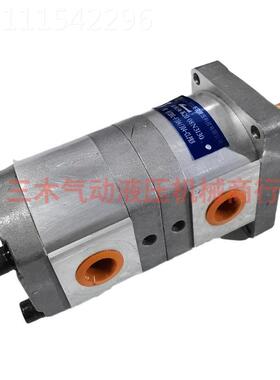 双联齿轮泵CBLC/CBN/BT-G3164/304 F310/306 F31/3无品牌/1N0油泵
