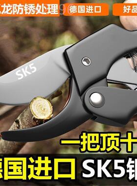 德剪原装进口SK5国园VVU艺剪林花卉修枝剪树子果园树剪