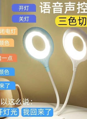 2023新款新品usb灯迷你声控小台灯氛围充电便携智能语音声控夜灯
