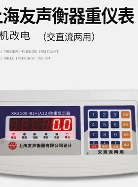 上海友声XK3100-B2+系列称重显示器计重计数 计价仪表 电子秤表头