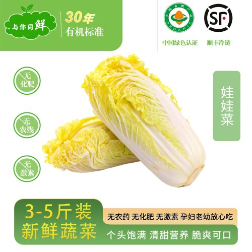 （顺丰冷链）新鲜蔬菜有机娃娃菜现摘现发农家自种娃娃菜