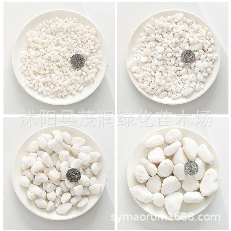 白石子鹅卵石白石头汉白玉彩石园艺盆栽石头多肉铺面庭院造景