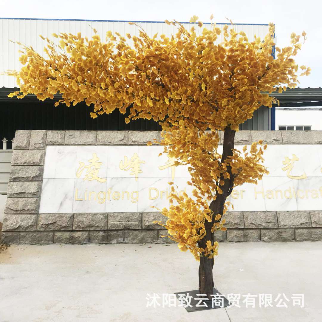 延伸型仿真银杏树 室内发财树盆栽绿植客厅舞台拍摄装饰工程假树